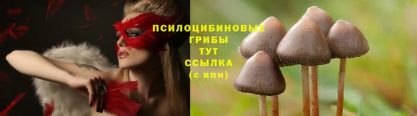соль курить ск Михайловка