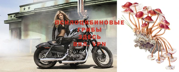 бутират Михайлов