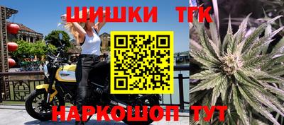 прущие крисы Гатчина
