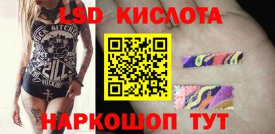 прущие крисы Гатчина