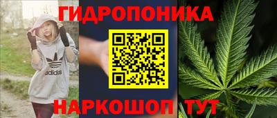 прущие крисы Гатчина