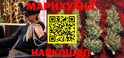 прущие крисы Гатчина