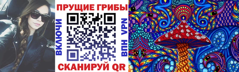 купить наркотики цена  Касимов  Псилоцибиновые грибы Psilocybine cubensis 