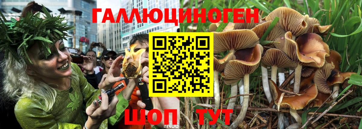 Меф МЯУ МЯУ   МДМА  Касимов  Вход с VPN  ГАШ  Cocaine 