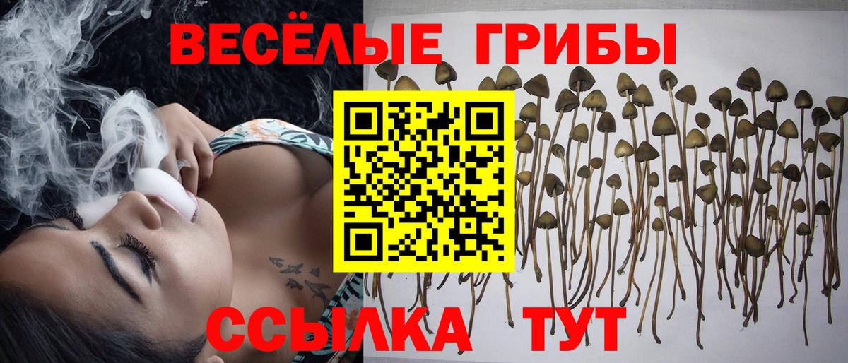 Галлюциногенные грибы мухоморы Касимов