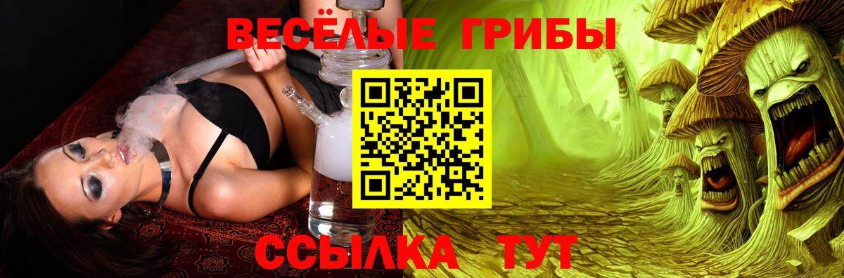 купить закладку  Вход с VPN  Псилоцибиновые грибы Magic Shrooms  Касимов  Псилоцибиновые грибы GOLDEN TEACHER 
