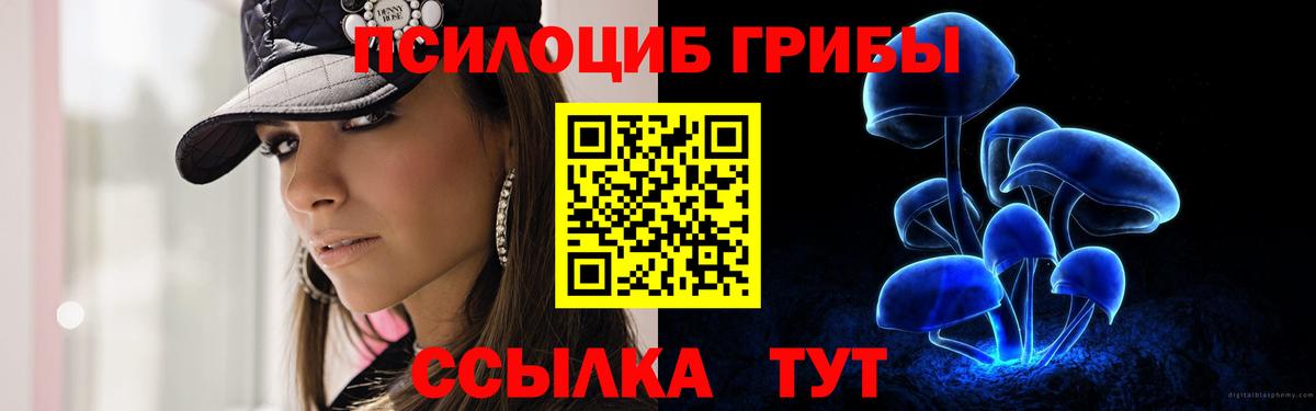 Псилоцибиновые грибы Psilocybine cubensis  Галлюциногенные грибы Psilocybe  Касимов 